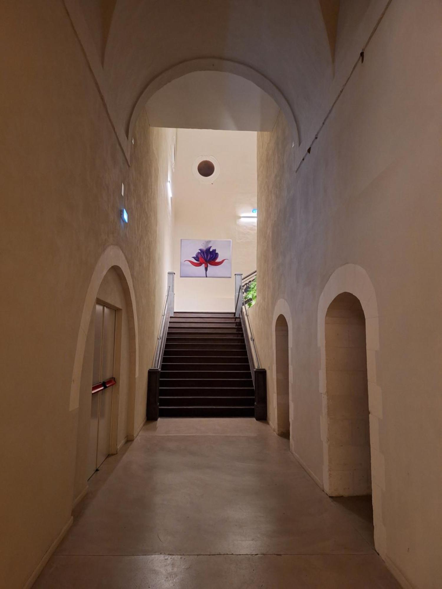 Chiostro Dei Domenicani - Dimora Storica Lecce Exterior foto